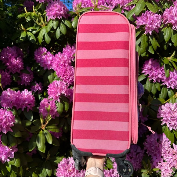 Pink Striped Carry-On Suitcase - Picture 5 of 7
